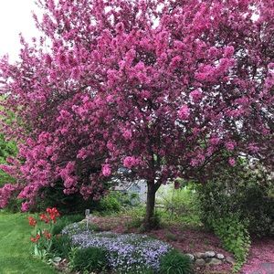 Meet your Posher, Bob